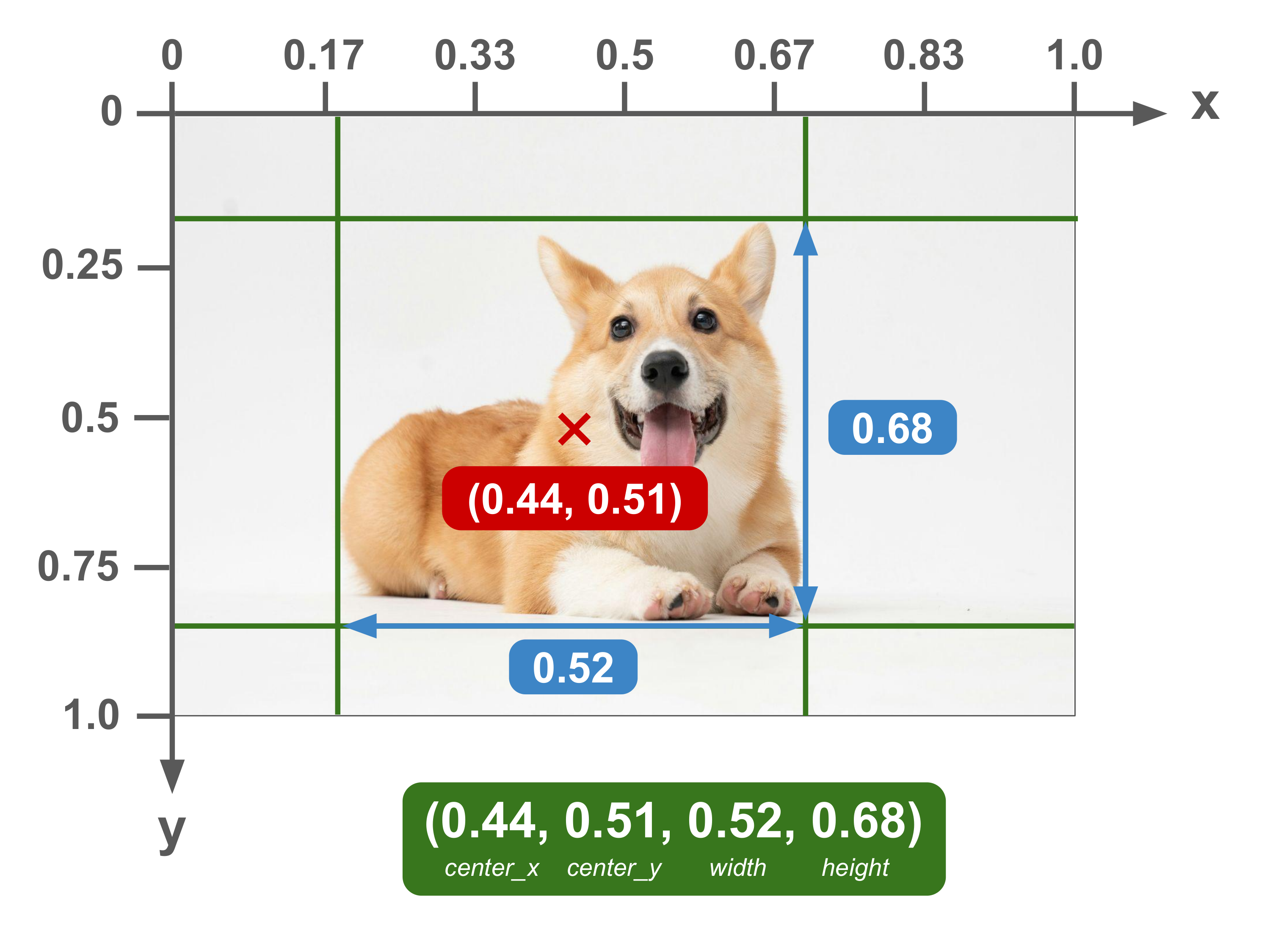 Bounding box defined in the YOLO format