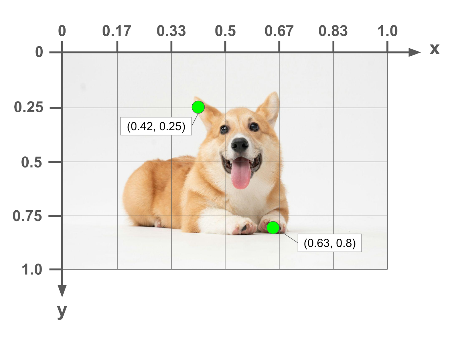 An example of points on the image expressed in normalized units