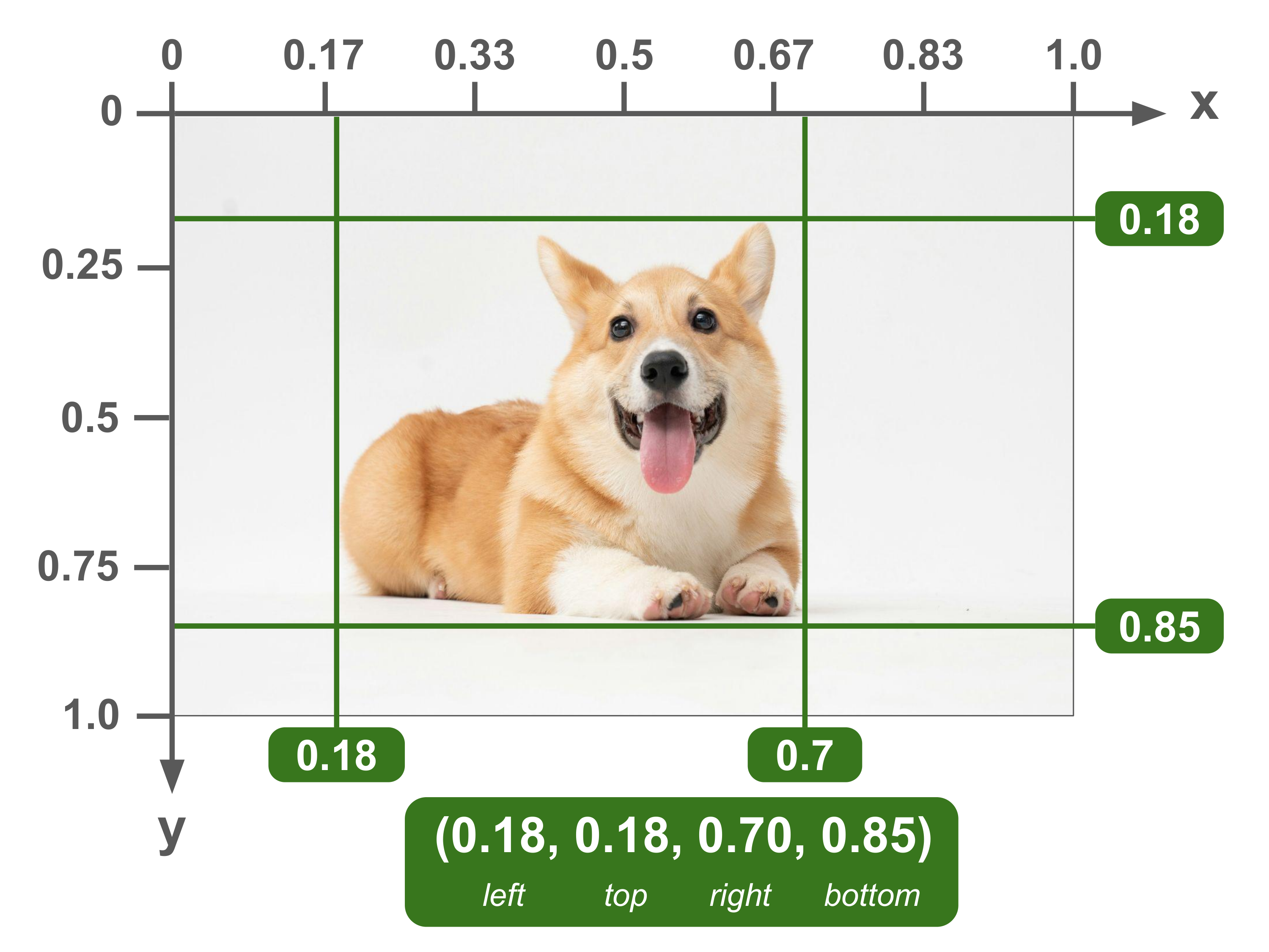 Bounding box defined in the Albumentations format
